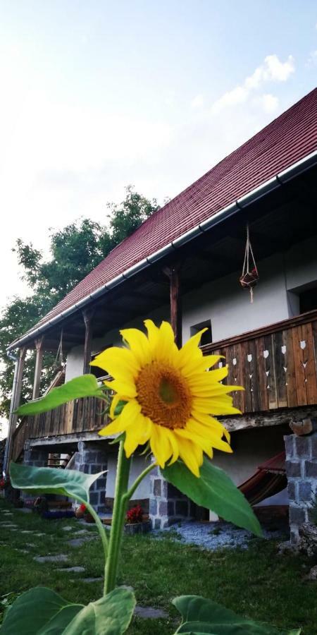 Miklos Lak Ocna de Sus ภายนอก รูปภาพ